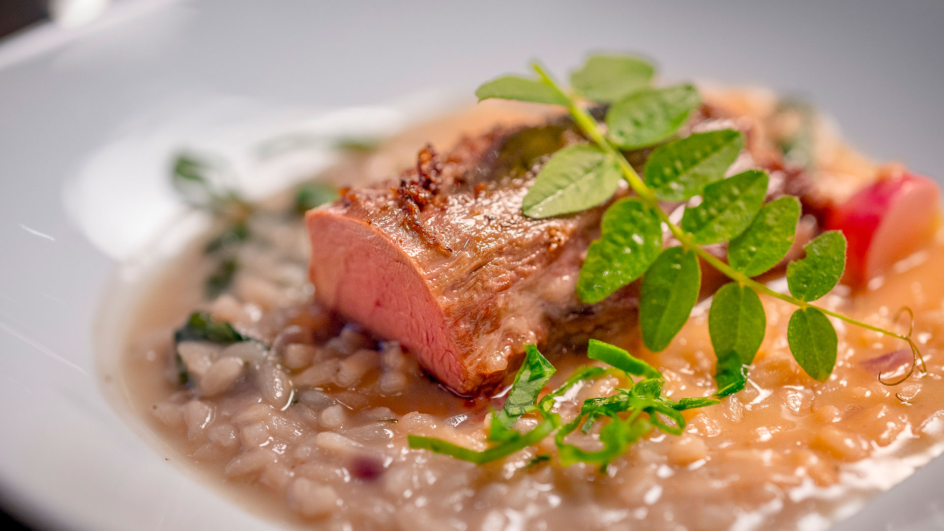 Regionales Gericht von JB Gastro